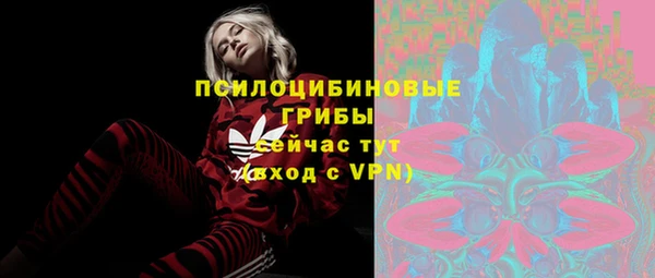 ПСИЛОЦИБИНОВЫЕ ГРИБЫ Алексеевка
