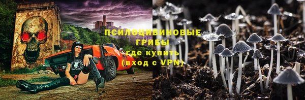 молекула духа Алзамай