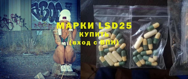 ПСИЛОЦИБИНОВЫЕ ГРИБЫ Алексеевка